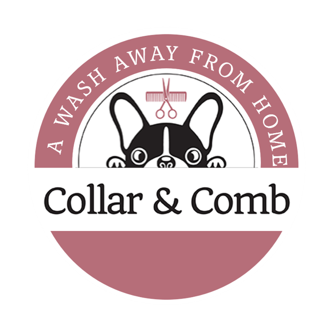 Collar and Comb